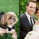 Pets In Wedding