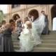 فيديو حفل زفاف