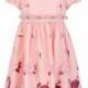 Babies pink tulle dress