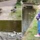 My Photography Diary: A Day Out with Poppi & Lola, Feeding the Ducks and a Trip to The Farm – May 4th