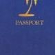 Metallic Palm Tree Passport Invitation - DreamDay Invitations