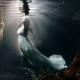 Denise+Bert -  Underwater Cenote Trash The Dress Photographer - Ivan Luckie Photography-2