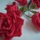 Close Up Of Roses