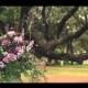 Perini Ranch Wedding Film {Texas Wedding Video}