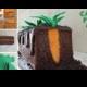 Carrot Patch Cake