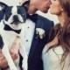 Pets In The Wedding - Man's Best Friend