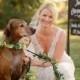 Pets In The Wedding - Man's Best Friend 