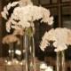 The Gorgeous White Orchid Centerpieces 