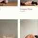 26 Healthy Yoga Postures 