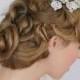 Mariage vintage inspiré des cheveux en cristal nuptiale Side Broche peigne