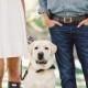 Picnic engagement ideas with Hunter Boots and a bowtie puppy