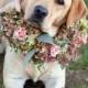 Une couronne de fleurs pour votre chien de mariage