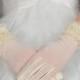 NOUVEAU Ivoire Voile & Lace Fingered poignet courte longueur des gants de mariage de mariée