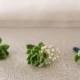Tiny Succulent Boutonnieres. 