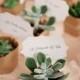 Succulent Wedding Favors And Place Cards 