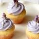 Lavender Cupcakes 
