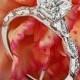 18k White Gold Tacori Sculpted Crescent Elevated Crown For Princess Diamond Engagement Ring