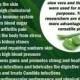 Gesundheitlichen Vorteile von Aloe Vera