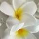 TROPICAL FLOWER KAMM-Hawaiian Plumeria, Hochzeits Clip, Perlen, Strand, Fascinator, Blumenkopfschmuck, Hawaii, Hochzeitshaarschm