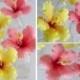 Hibiscus Flowers Zucker