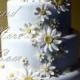 Daisy Wedding Cake 