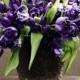 Фиолетовые Тюльпаны И Душистый Горошек 
