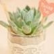 DIY Wedding Plant Favors Are Perfect For A Green Wedding