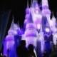 Disney Photo Op - Nighttime Castle 