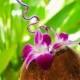 For An Exotic Destination Wedding, Yusef Austin Serves Cocktails In Coconuts With A Twisty Straw And Gorgeous Purple Blo...