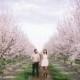 Almond Orchard Engagement Photos: Genevieve + Mike