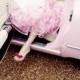 Pink Cadillac und rosa Petticoat