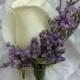Wedding - Purple - Lavender 