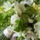 Bouquet de mariée verte