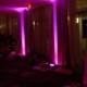 Pink LED Uplights
