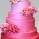 Hot Pink/Fuscia Wedding Palette