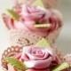 Cupcakes - rose