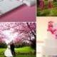 Asien / Kirschblüten-Hochzeit Inspiration