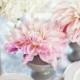Pink/Blush Weddings