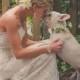 Pets   Weddings