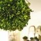 Green Eco-friendly Свадебные Идеи