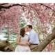 ♥ ~ ~ ♥ • mariage de fleurs de cerisier