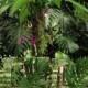 Wedding Reception Ideas: Tropical Rainforest