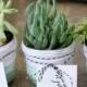 Cute And Personalized DIY Ombre Yarn Succulent Favors 