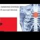 Boost Your Immune System In 15 Seconds: How To Thump Your Thymus