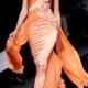 Gowns....Orange Obsessions