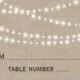 Twinkle Lights Typography Place Card