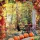 Mariages automne