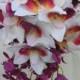 Orchid Bouquet, Cascade, SALE, Purple Plum, Lavender, White, Yellow Green, Peach, Cymbidium Orchid, Bride, Bridal, Waterfall