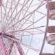 Pink Ferris Wheel Large Format 16x24 Print Carnival Summer Fun