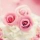 Розовая Свадьба 